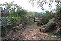 Gate on to the Windrush Way