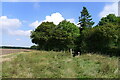 Bridleway approaching Ingoldsby Wood