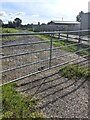 Five-bar metal gate, Arlingham