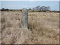 SX1177 : Old Boundary Marker on Lady Down, St Breward parish by P G Moore