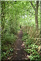 Footpath, Carroty Wood