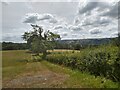 Blagdon Lake from Blagdon Lane