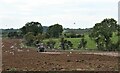 Gulls following the plough at Knockmarloch