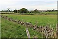 Fields at Meadowhead farm