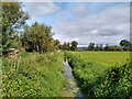 Rhyne by NCN3 alongside A39 Wells Road