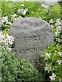 Old Boundary Marker on Stoke Road, Plymouth