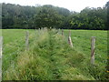 Footpath to Park Wood