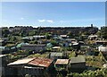 Allotments At Dawdon