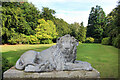 TL5262 : Lion on the Lawn by Des Blenkinsopp