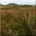 Fence, Little Crag