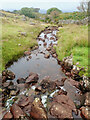 Highford Beck