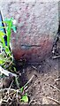 NY5048 : Benchmark at base of gatepost in front of cottages at Folly Brow by Roger Templeman