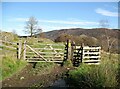 SD2892 : Gate on The Cumbria Way by Adrian Taylor