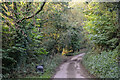 Beara : Country Lane