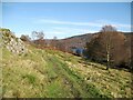 SD2992 : The Cumbria Way near Coniston Water by Adrian Taylor