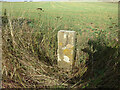 Old Milestone, Carterton Rd, B4020