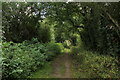 Green Tunnel heading for Shipton