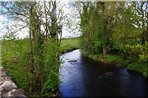 R7798 : Woodford River, Rosmore, Co. Galway by P L Chadwick