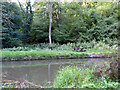 Picnic table on the far side of the canal from the path