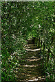 Riverside footpath south-east of Upper Arley