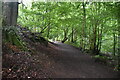 Rob Roy Way, Birks of Aberfeldy