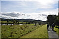 Raised walkway beside the Afon Tryweryn