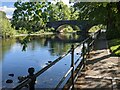 Path by the River Severn (Llanidloes)