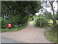 Pinckney Path, near Lymington