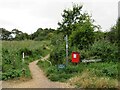 Pinckney Path, near Lymington