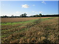 Footpath to Church Charwelton