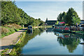SP3584 : Coventry Canal  by Ian Capper