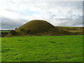 Disused rubbish tip near Knowton Farm