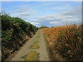 Narrow lane near Threepnook