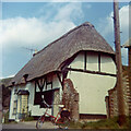 Cottage in East Meon (1973)