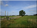 Drystone wall near Tyning Villa Farm