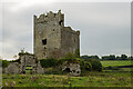 S0340 : Castles of Munster: Ballynahinch, Tipperary  (3) by Mike Searle