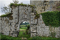 S0340 : Castles of Munster: Ballynahinch, Tipperary  (4) by Mike Searle