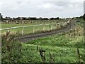 Gallops Near Station Town