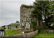 S0537 : Castles of Munster: Shanballyduff, Tipperary  (2) by Mike Searle