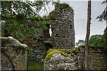S0537 : Castles of Munster: Shanballyduff, Tipperary  (3) by Mike Searle
