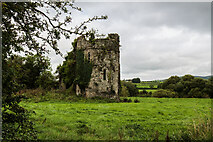 S1213 : Castles of Munster: Newcastle, Tipperary  (1) by Mike Searle