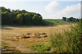 Field below Berry Down