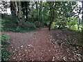 Path in Highgate Wood