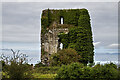 R4878 : Castles of Munster: Lissofin, Clare  (3) by Mike Searle