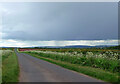 Country road near Deerhurst (2)