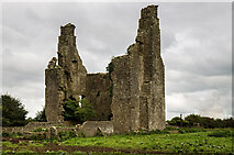 S2685 : Castles of Leinster: Grange More, Laois (3) by Mike Searle