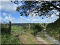 Farm track to Cwmcynnen Isaf