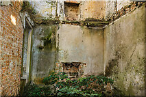 S2754 : Ireland in Ruins Pt III: Littlefield House, Co. Tipperary (4) by Mike Searle