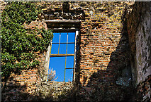 S2754 : Ireland in Ruins Pt III: Littlefield House, Co. Tipperary (5) by Mike Searle