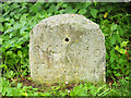 Old Milestone, Sankey Canal